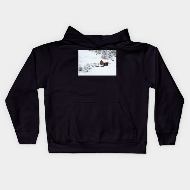 Barn in the woods Kids Hoodie by gdb2